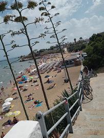 Last minute casa al mare avola