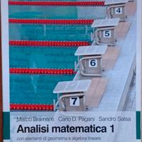 analisi matematica 1 Bramanti Pagani Salsa 