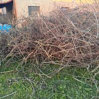 R.egalo rametti da ardere