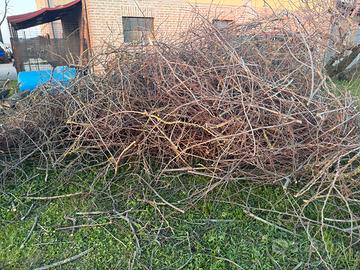 R.egalo rametti da ardere