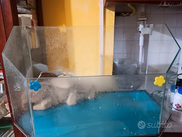 acquario per tartarughe 