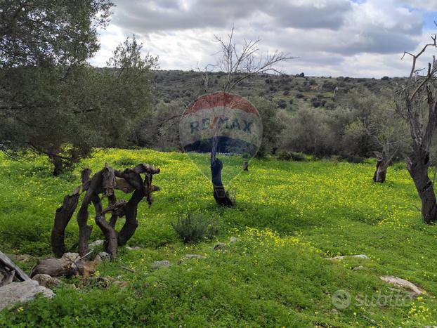 Terreno - Noto