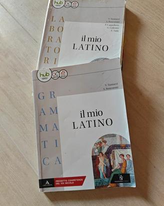 Il mio latino - grammatica+ lavoratorio 1  libro l
