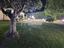 Immagine 26