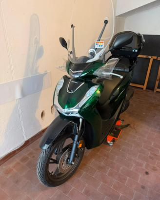 Honda Sh 125 verde bottiglia