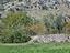Immagine 24