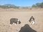 Immagine 5