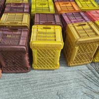 cassette di olive frutta 