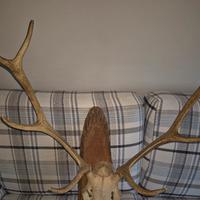 TROFEO CORNA ANNI 70