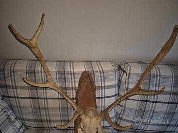 TROFEO CORNA ANNI 70