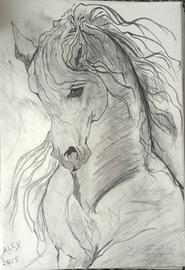 Disegno 