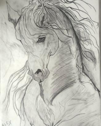 Disegno 