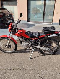 beta alp 200