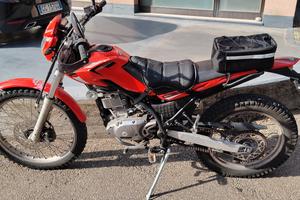beta alp 200