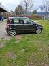 fiat-panda-1-242