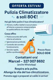 pulizia climatizzatore 