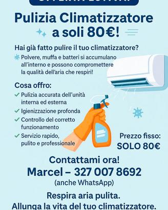 pulizia climatizzatore 