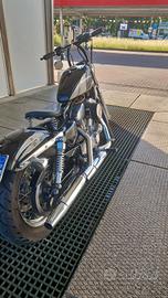 sportster 883 xl low 