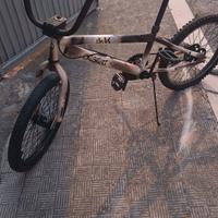 Bici BMX