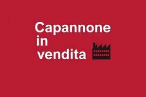 Roseto degli Abruzzi Zona Ind.le - Capannone