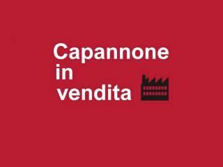 Roseto degli Abruzzi Zona Ind.le - Capannone