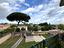 Immagine 21