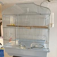 Gabbia voliera per uccelli