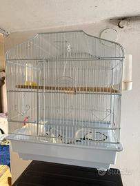 Gabbia voliera per uccelli