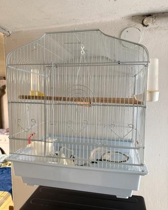 Gabbia voliera per uccelli