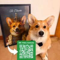 Stampa personalizzata cani, gatti, e altro con QR