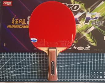 Racchetta da ping pong nuova