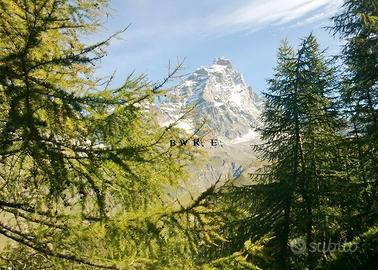 CERVINIA Centro attività PIZZERIA RISTORANTE