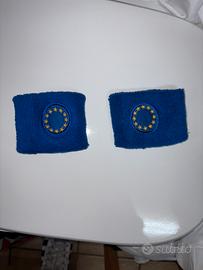 Polsini europa