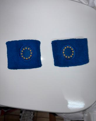 Polsini europa