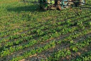Terreno agricolo