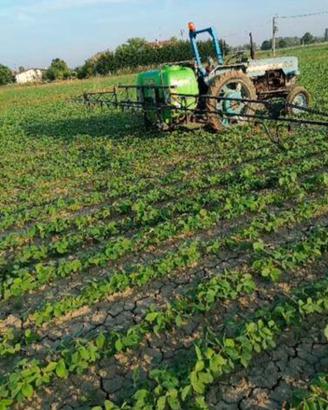 Terreno agricolo