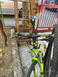 Bicicletta MTB Cube Analog + rulli