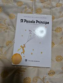 il piccolo principe 