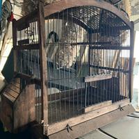 Gabbietta per Uccellini