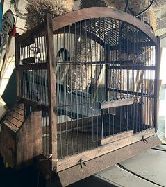 Gabbietta per Uccellini