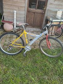 bicicletta 26