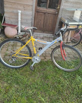 bicicletta 26