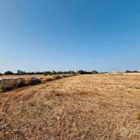 Terreno agricolo Torre Lapillo