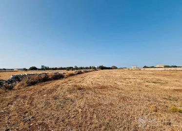 Terreno agricolo Torre Lapillo