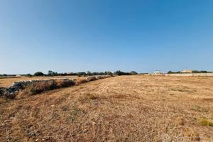 Terreno agricolo Torre Lapillo