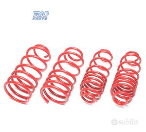 KIT MOLLE SPORTIVI PER FIAT