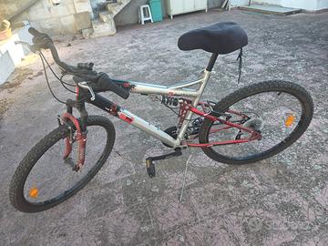 Mountain bike biammortizzata