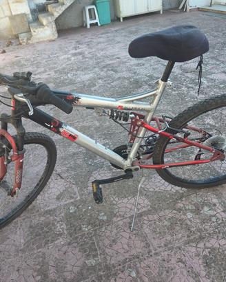 Mountain bike biammortizzata