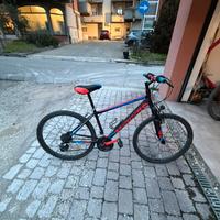 Bici mtb