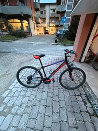 Bici mtb